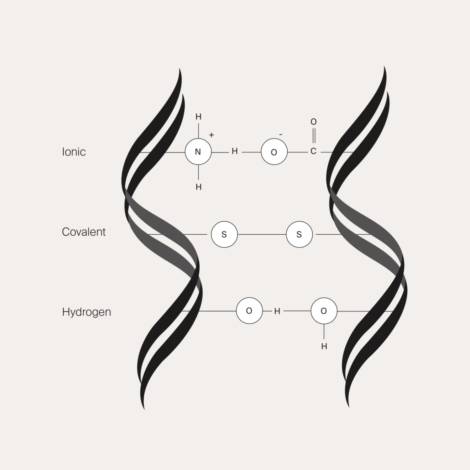 Molekularna struktura włosów: główne wiązania i odbudowa włosów
